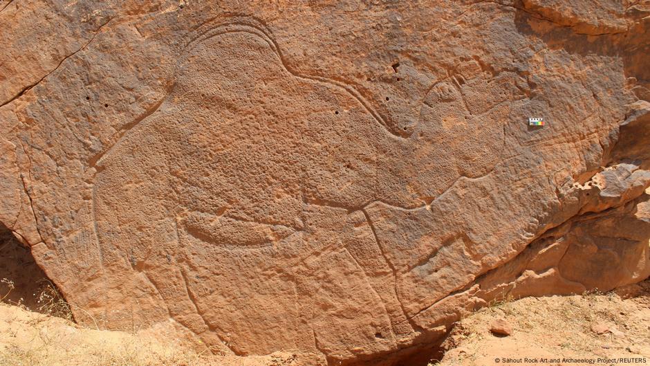 Arte rupestre en Arabia Saudí revela figuras de camellos gigantes hace más de 12.000 años